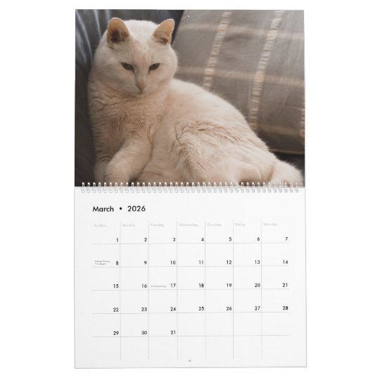 Schöne weiße Katzen 2021 Kalender (Mär 2026)