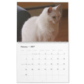 Schöne weiße Katzen 2021 Kalender (Feb 2027)