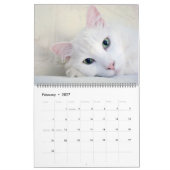 Schöne weiße Katzen 2022 Kalender (Feb 2027)