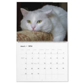 Schöne weiße Katzen 2022 Kalender (Mär 2026)