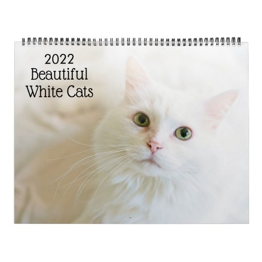 Schöne weiße Katzen 2022 Kalender (Titelbild)