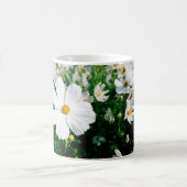 Schöne weiße Kosmos Blume blühen in Gärten Kaffeetasse (Mittel)