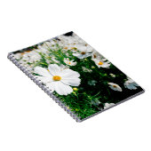 Schöne weiße Kosmos Blume blühen in Gärten Notizblock (Rechte Seite)