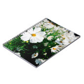 Schöne weiße Kosmos Blume blühen in Gärten Notizblock (Linke Seite)