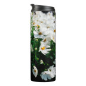 Schöne weiße Kosmos Blume blühen in Gärten Thermosbecher (Nach rechts gedreht)