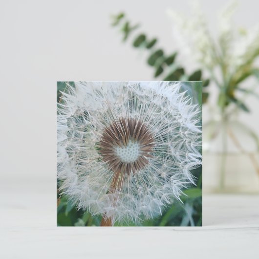 Schöne weiße Kronleuchte (Stehend Vorderseite)