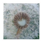 Schöne weiße Kronleuchte Fliese (Vorderseite)