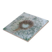 Schöne weiße Kronleuchte Fliese (Seite)