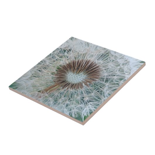 Schöne weiße Kronleuchte Fliese (Seite)