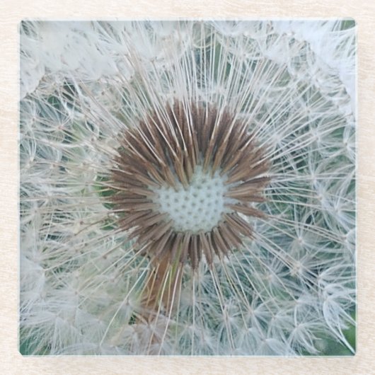 Schöne weiße Kronleuchte Glasuntersetzer (Vorderseite)