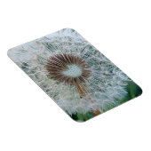 Schöne weiße Kronleuchte Magnet (Rechte Seite)