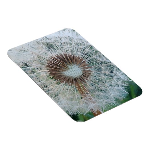 Schöne weiße Kronleuchte Magnet (Rechte Seite)