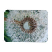 Schöne weiße Kronleuchte Magnet (Horizontal)