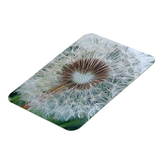 Schöne weiße Kronleuchte Magnet (Linke Seite)