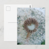 Schöne weiße Kronleuchte Postkarte (Vorne/Hinten)