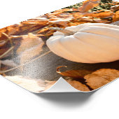 Schöne, weiße Kürbis Herbstblätter Fotodruck (Ecke)