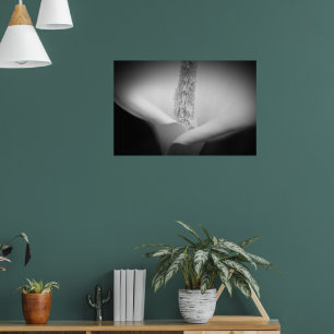 Schöne weiße Lilie Schwarz-Weiß-Foto Poster