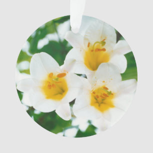 Schöne weiße Lilien - Lilium candidum Ornament