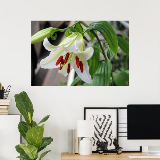 SCHÖNE WEISSE LILY POSTER (Heimbüro)