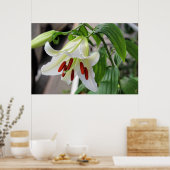 SCHÖNE WEISSE LILY POSTER (Küche)