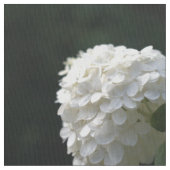 Schöne weiße Limette Hortensien-Blumen Stoff (Nahaufnahme)