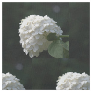 Schöne weiße Limette Hortensien-Blumen Stoff
