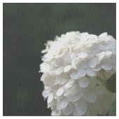 Schöne weiße Limone Hydrangea Floral Stoff (Nahaufnahme)