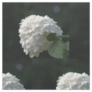 Schöne weiße Limone Hydrangea Floral Stoff