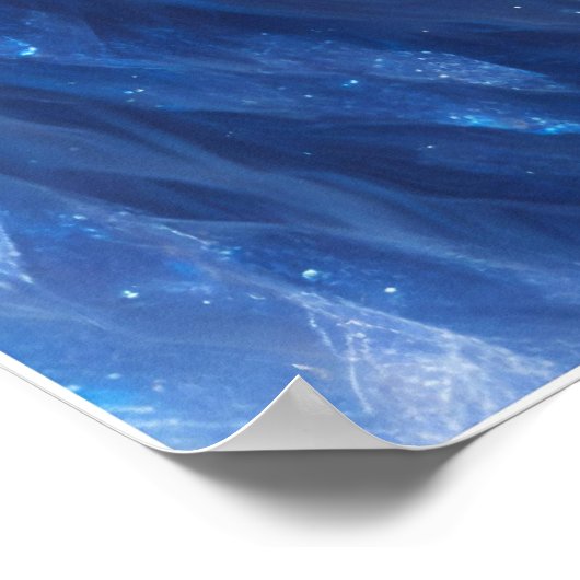 Schöne weiße Mystik mit blauen Augen Poster (Ecke)