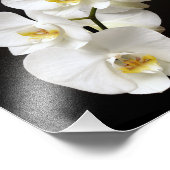 Schöne weiße Orchidee mit schwarzem Hintergrund Fotodruck (Ecke)