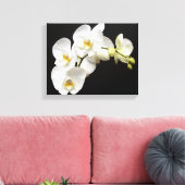 Schöne weiße Orchidee mit schwarzem Hintergrund Leinwanddruck (Insitu (Wohnzimmer))