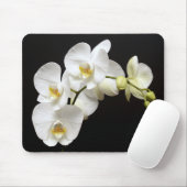 Schöne weiße Orchidee mit schwarzem Hintergrund Mousepad (Mit Mouse)