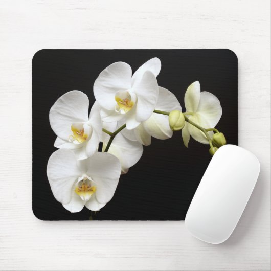 Schöne weiße Orchidee mit schwarzem Hintergrund Mousepad (Mit Mouse)