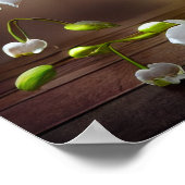 Schöne weiße Orchideen floral Bouquet Poster (Ecke)