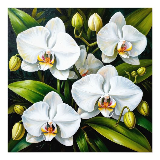 schöne weiße Orchideen Fotodruck (Vorne)