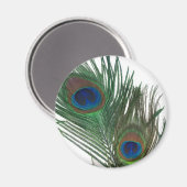 Schöne Weiße Pfauenfeder Magnet (Vorderseite/Rückseite)
