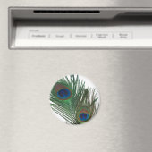 Schöne Weiße Pfauenfeder Magnet (In Situ (Geschirrspüler))