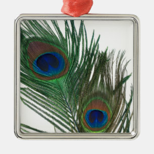 Schöne Weiße Pfauenfeder-Ornament Silbernes Ornament