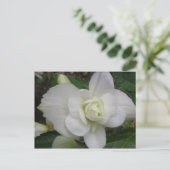 Schöne weiße Postkarte (Stehend Vorderseite)