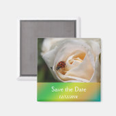 Schöne weiße Rose Blume Save the Date Magnet (Vorderseite/Rückseite)