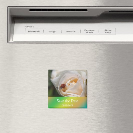 Schöne weiße Rose Blume Save the Date Magnet (In Situ (Geschirrspüler))