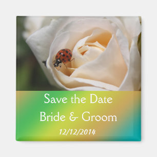 Schöne weiße Rose Blume Save the Date Magnet