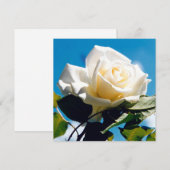 Schöne weiße Rose Dankeskarte (Vorne/Hinten)