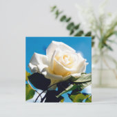 Schöne weiße Rose Dankeskarte (Stehend Vorderseite)