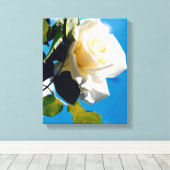 Schöne weiße Rose Leinwanddruck (Insitu (Holzboden))