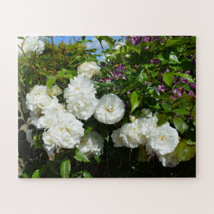 Schöne weiße Rosen Puzzle