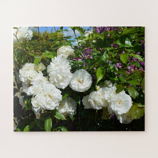 Schöne weiße Rosen Puzzle (Horizontal)