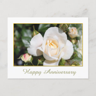 schöne weiße Rosenblume frohes Jubiläum Postkarte