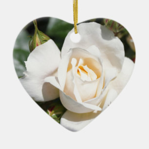 schöne weiße Rosenblume. Liebe und Romantik Keramikornament