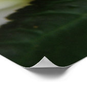 Schöne weiße Schrift Poster (Ecke)